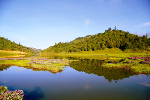 志奔山风光 IMG_0582