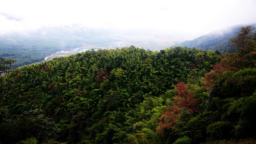 分水岭红叶0（冬剑）