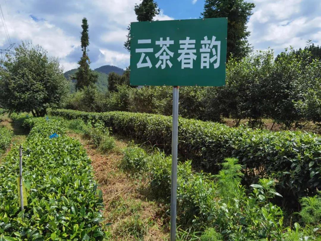 微信图片_20201010144445
