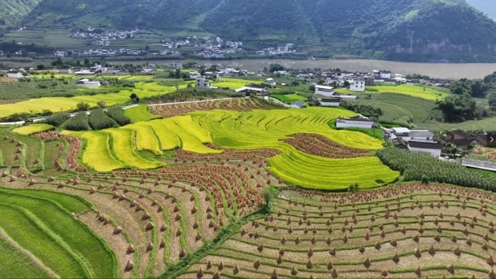 屏幕截图 2025-09-29 112531.jpg