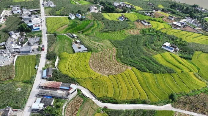 屏幕截图 2025-09-29 112617.jpg